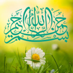 کانال بزرگ حیوانات خانگی همستر خرگوش........