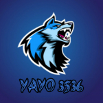 YAYO 3536