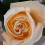 m_500500