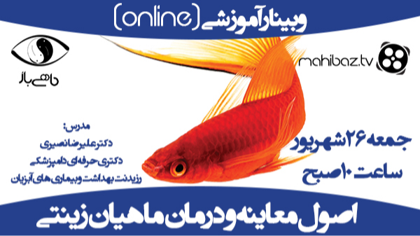 آشنایی با اصول معاینه و درمان در ماهیان زینتی (ویژه پرورش دهندگان ماهیان زینتی)