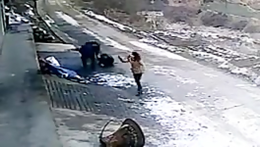 حمله گراز وحشی و کشتن سه نفر ض...