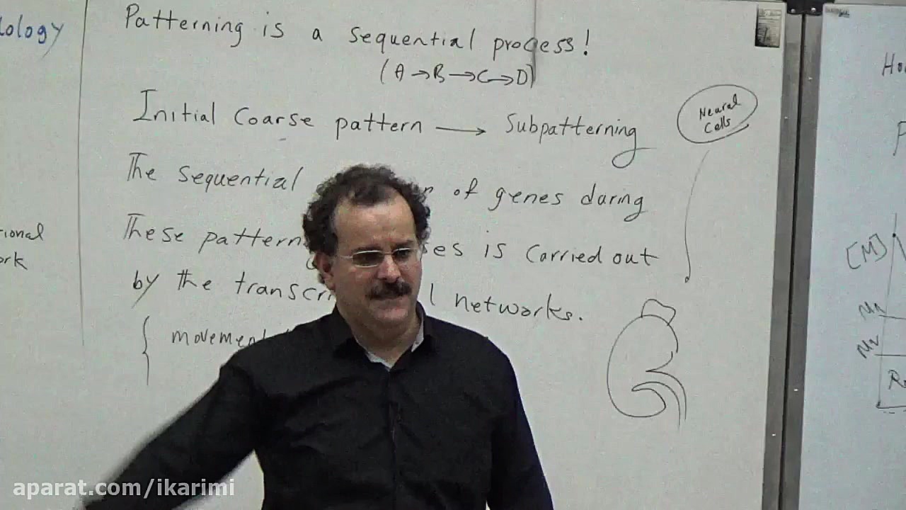 بیولوژی سامانه ایSYSTEMS BIOLOGY SESSION 8 جراحی فک