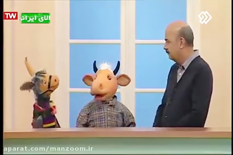 ماجرای خنده دار آشنا شدن گاوی با جیگر