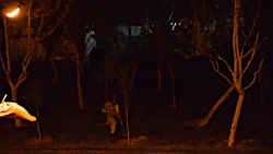 روش نظافت پارک ها توسط شهرداری...