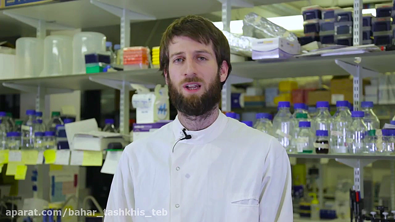 QMUL Science Alive: Protein expression and purification بیماری سندروم آلاژیل