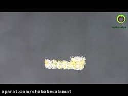 باورهای غلط تغذیه ای