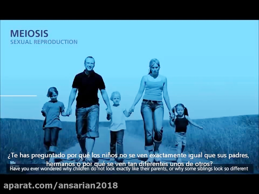 Meiosis Crossing Over And Variability 3d Animation Subtitulado Al Español 