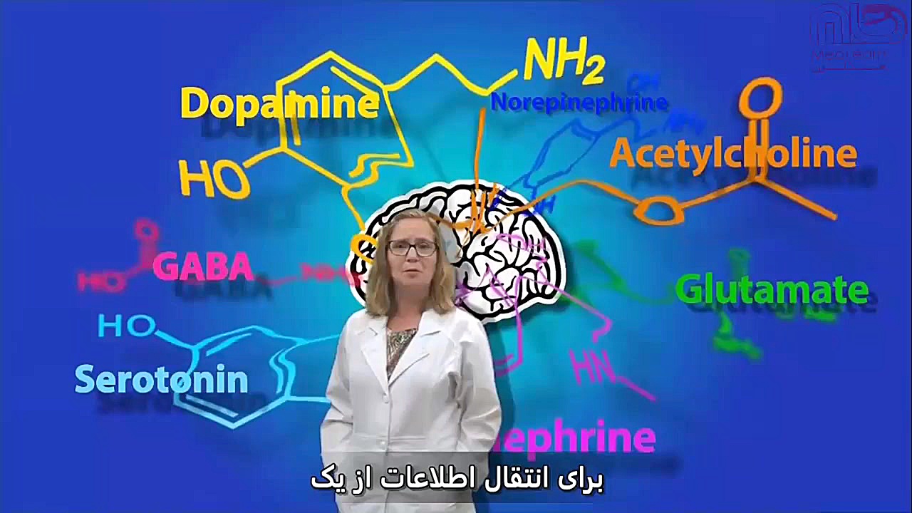 پیک های عصبی و عملکردشان خرگوش اینستاگرامی