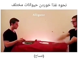غذا خوردن حیوانات مختلف، طنز غذا خوردن حیوانات مختل...