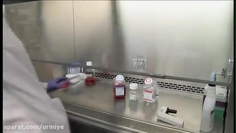 Passaging Cells Gibco® Cell Culture Basics