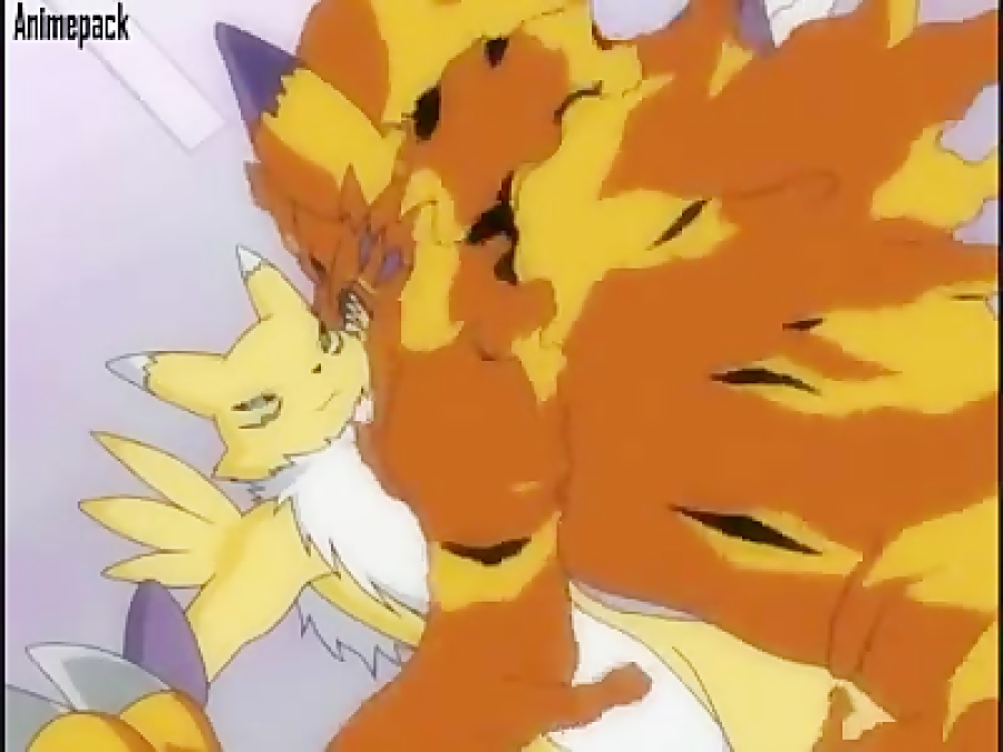 Renamon Palcomix