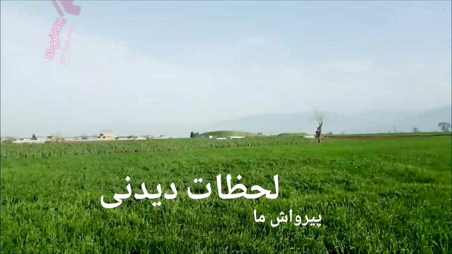 تصاویر دیدنی از پیرواش