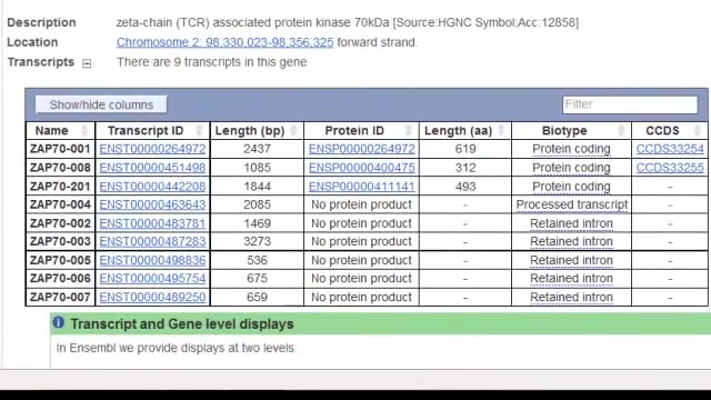 Demo 1: Sequence variation for a gene آهنگ جدید
