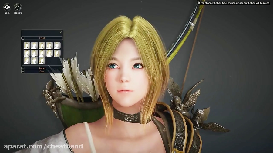 Black Desert Online