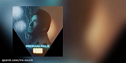 Pedram Paliz  Vaay  متن آهنگ پ...