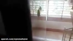 اتاق دوتخته در مهمانسرا در مشه...