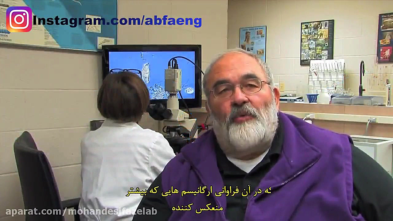 میکروبیولوژی تصفیه فاضلاب زاویه سازی صورت