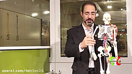 دکتر میری_ آموزش آناتومی و حرکات عضله دلتوئید دکتر علیرضا میری