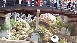 اردوی پرنشاط بچه های پیش دبستا...