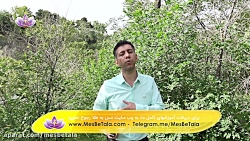 ترک پرخوری و شهوت شکم