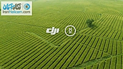پهپاد سمپاش کشاورزی