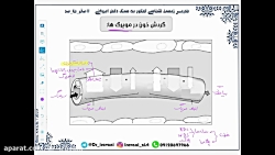گردش خون در مویرگ ها