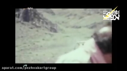 زادروز مجید مجیدی