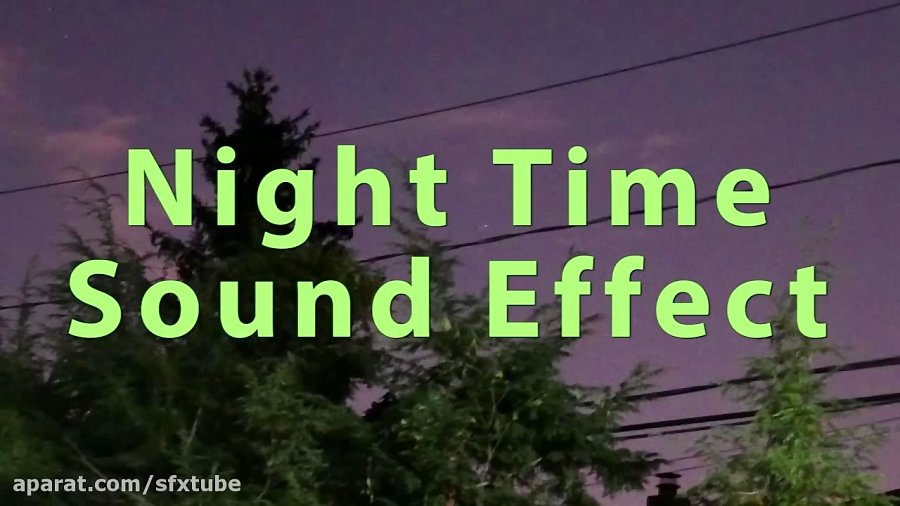 Night Time Sound Effect