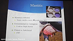 ورم پستان، تب شیری و کتوز در گ...