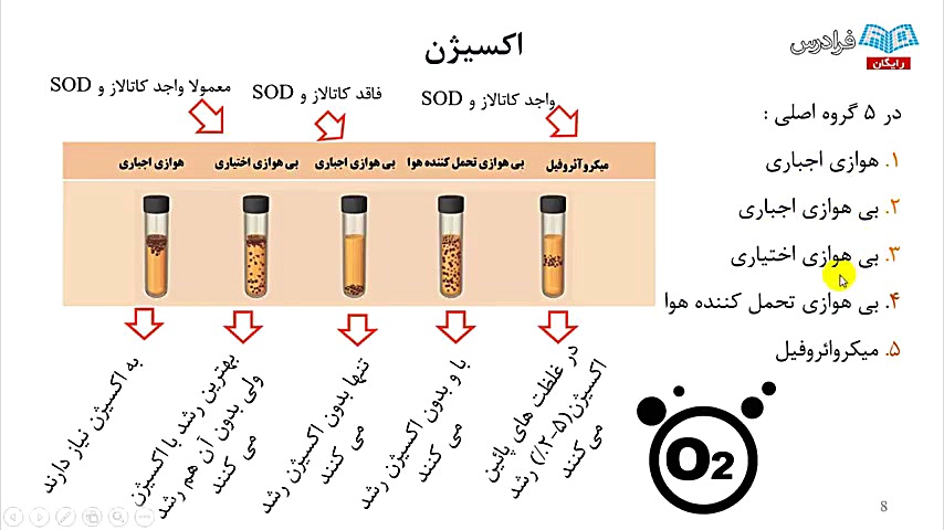 "آموزش میکروبیولوژی پزشکی (میکروب شناسی) درس 1: میکروبیولوژی عمومی - بخش سوم" گیم پلی