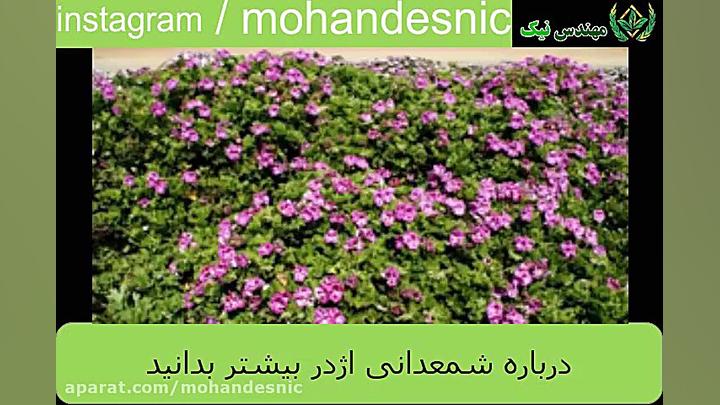 آشنایی با شمعدانی اژدر زمان300ثانیه