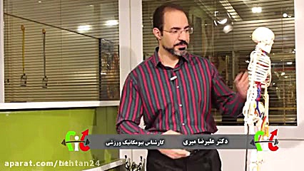 دکتر میری_ آموزش آناتومی و حرکات عضله پشت بازو دکتر علیرضا میری
