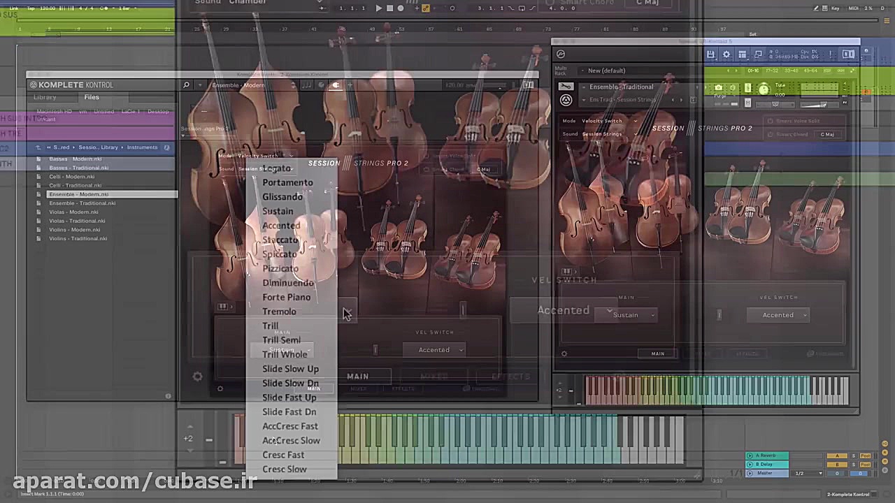 وی اس تی Native Instruments Session Strings Pro 2 v1.0 گوگوش
