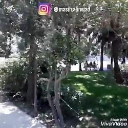 توهین به شهدای گمنام توهین به شهدای گمنام