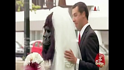 gags just for laughs