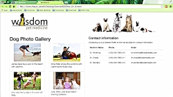 قسمت 16 آموزش Bootstrap