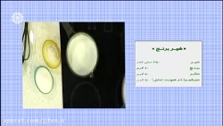 طرز تهیه شیر برنج ، کارشناس آشپزی: محمد صارمی