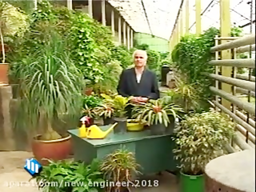 آشنایی با گیاهان آپارتمانی و ط...