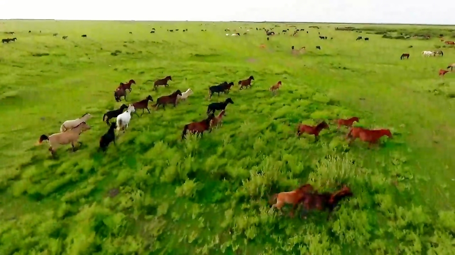 پارک ملی بوجاق کیاشهر - Bujaq national park