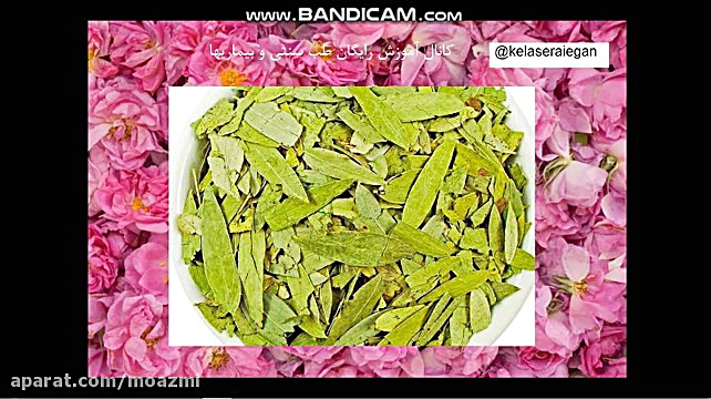 کبد چرب و نحوه درمان آن با طب سنتی پیلینگ