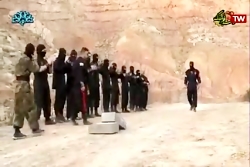 نینجا        بهنام طیب نیا سام...