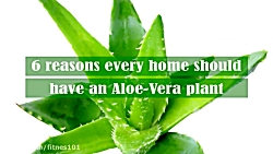 6 Reasons Why Every Home Shoul...