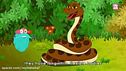 Snakes - The Dr. Binocs Show, Best Learning Videos For Kids