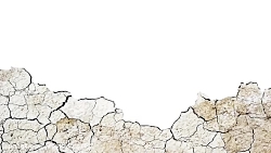 روز جهاد کشاورزی وروز جهانی بی...