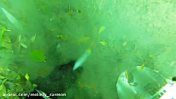 Underwater Metal Detecting a WATERFALL - I Found an iPhone, Rings, Pocket Knife (Phone Returned!!!) Underwater Metal Detecting a WATERFALL - I...