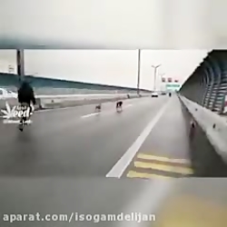 ساندویچ پانل قیمت  ساندویچ پان...