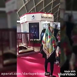 غرفه داریو پت سنتر در نمایشگاه...