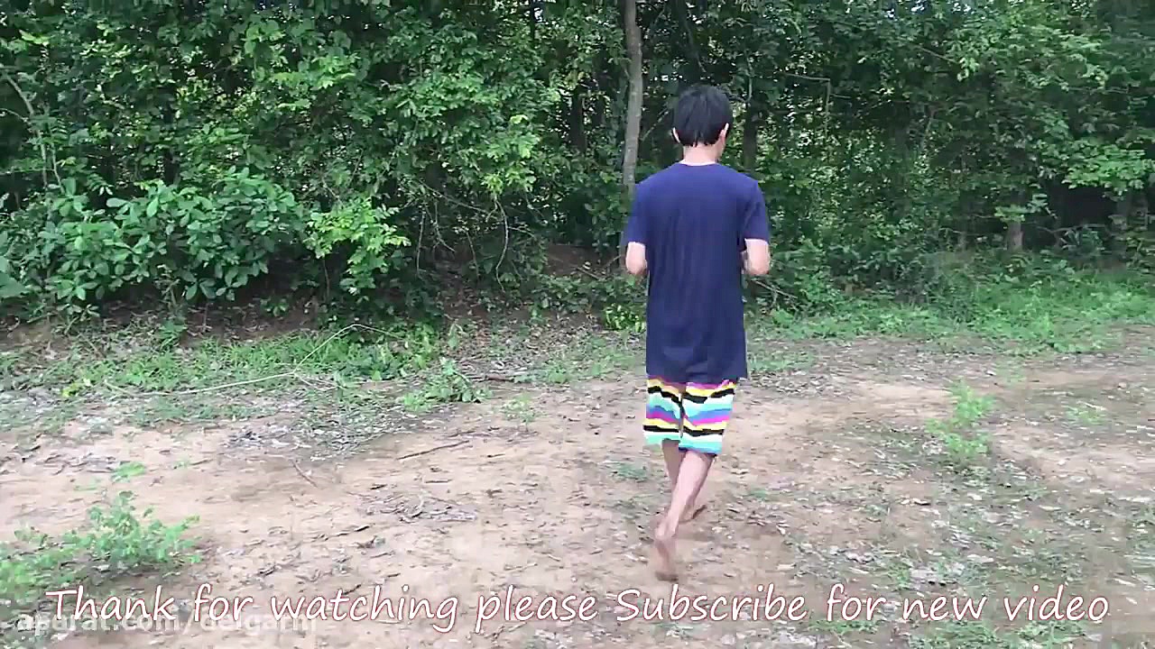 Unbelievable ! First Bird Trap Catch Two birds in One Time / Learning to Catch Birds For Pet زمان302ثانیه