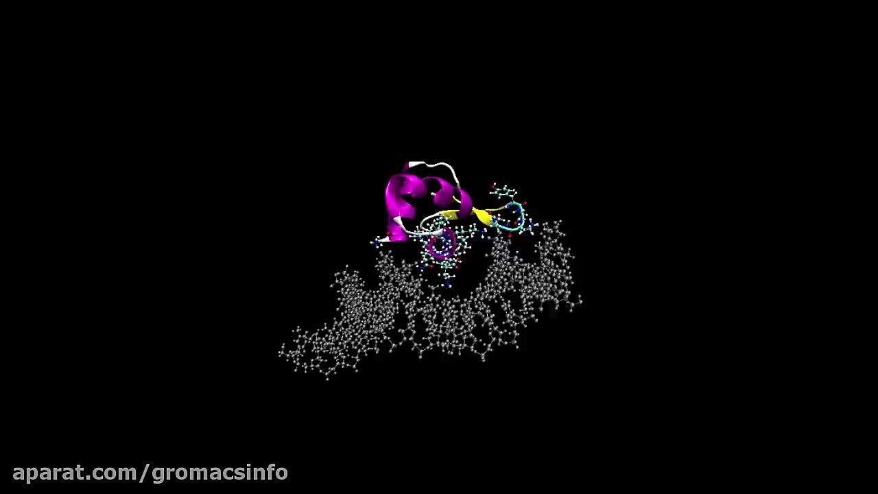 بررسی برهم کنش DNA-Protein با استفاده از گرومکس رفع چین و چروک