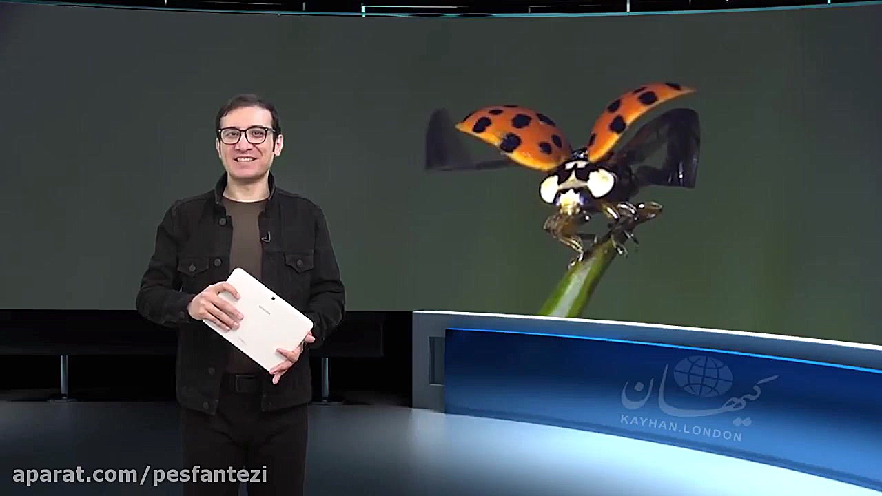 کیهان لندن - بزرگترین سوسک جهان، جانوری از ماقبل تاریخ دنزل واشینگتن